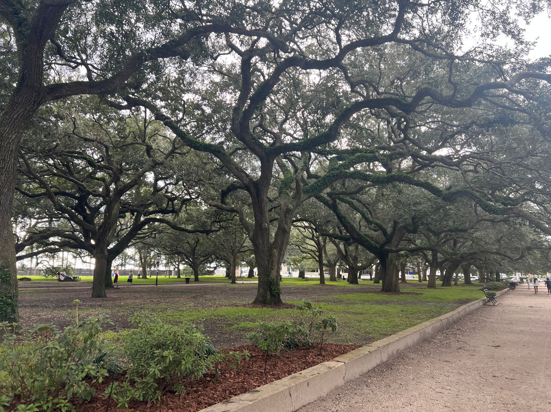 21 East Battery Bed and Breakfast主图