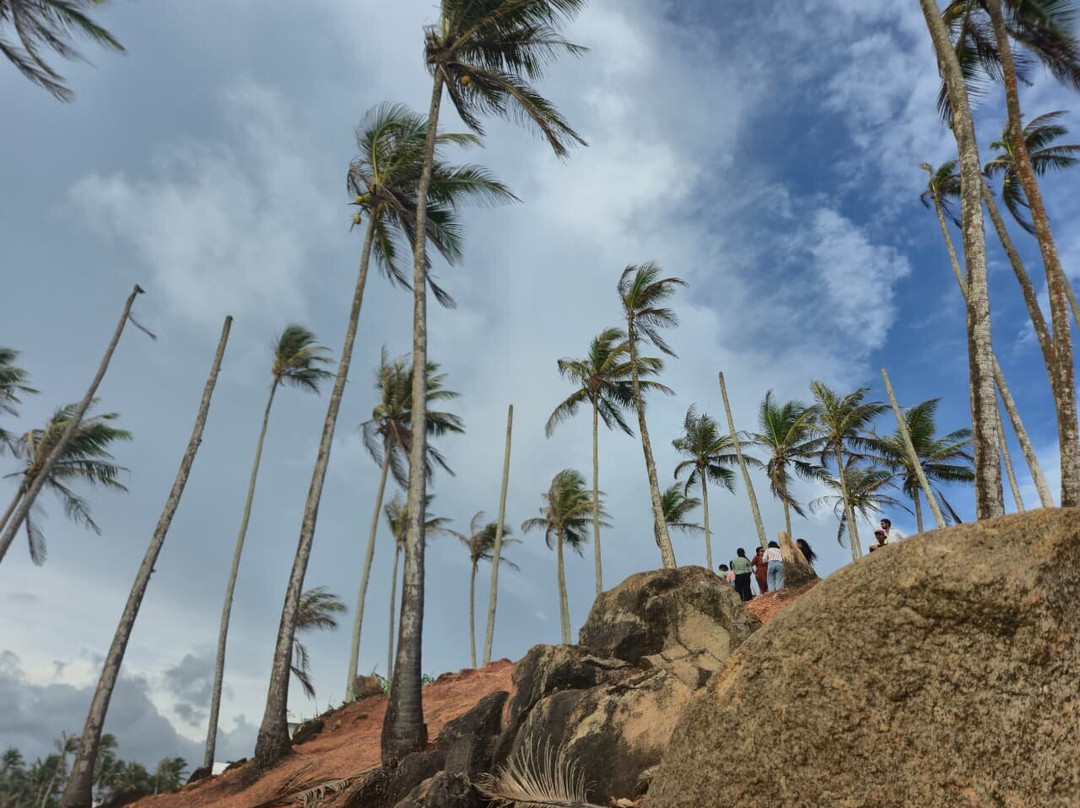 Coconut Tree Hill-美蕊沙必去景点