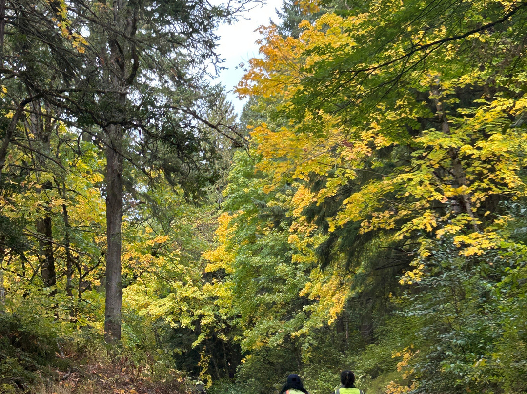 Mount Hood Railroad-胡德里弗必去景点