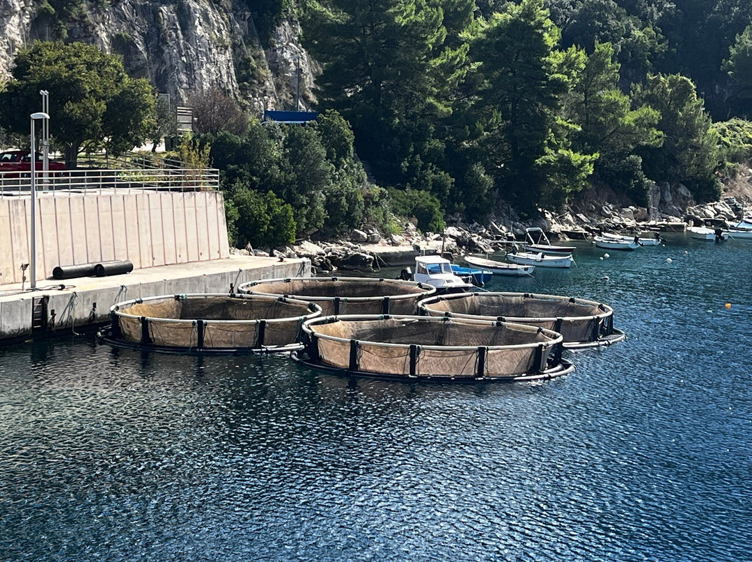 Discovery Bicycle Tours-伍德斯托克必去景点