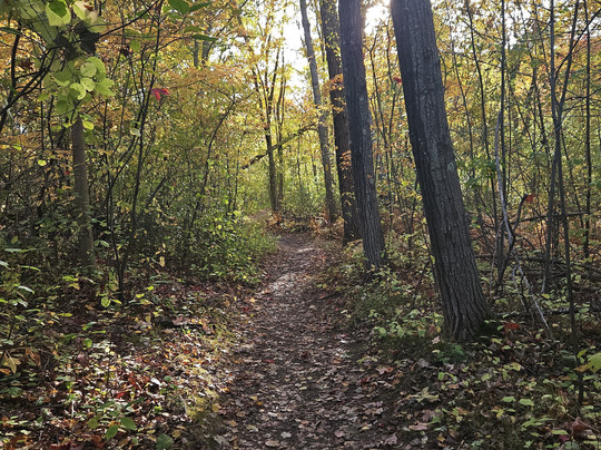 Witchwood Tours-塞勒姆必去景点