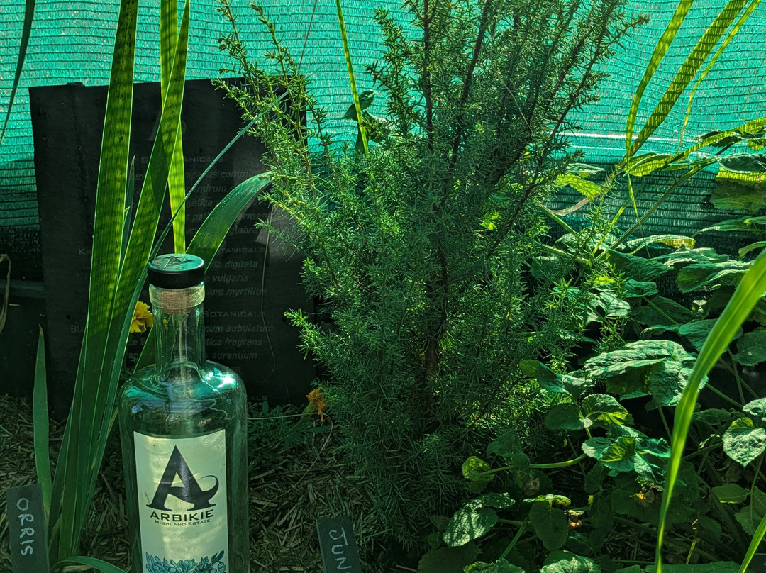 Arbikie Distillery-Montrose必去景点