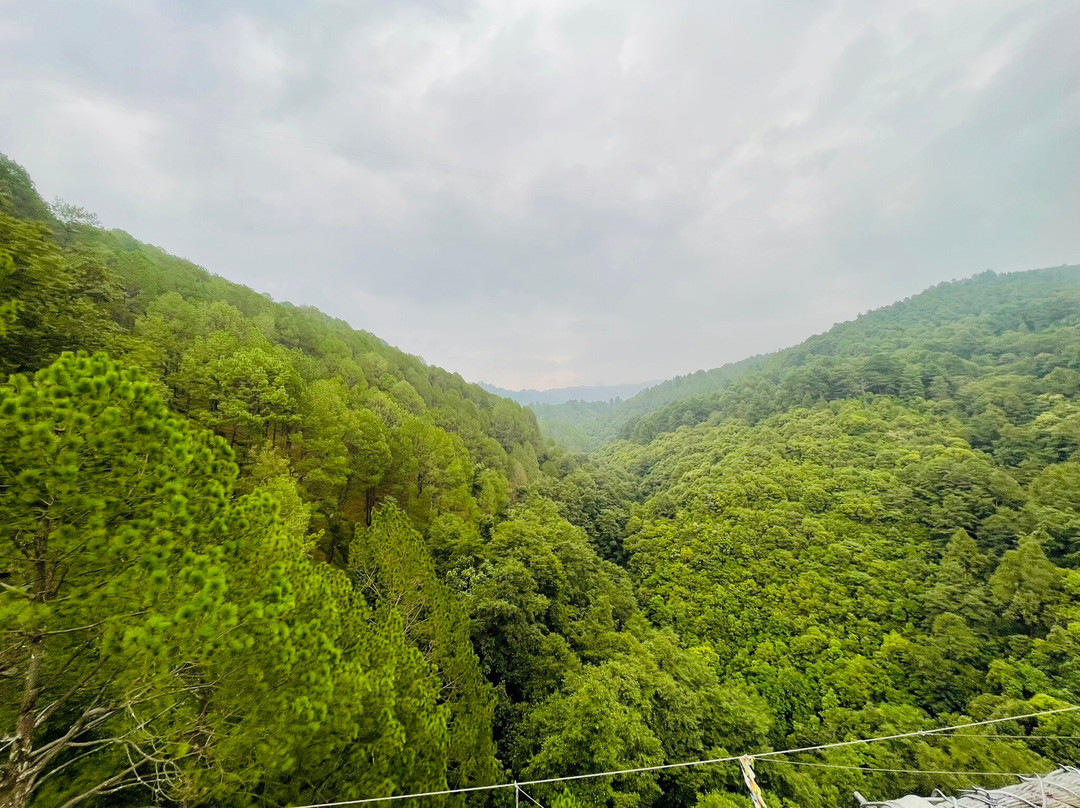 Rani Jhula-纳加阔特必去景点