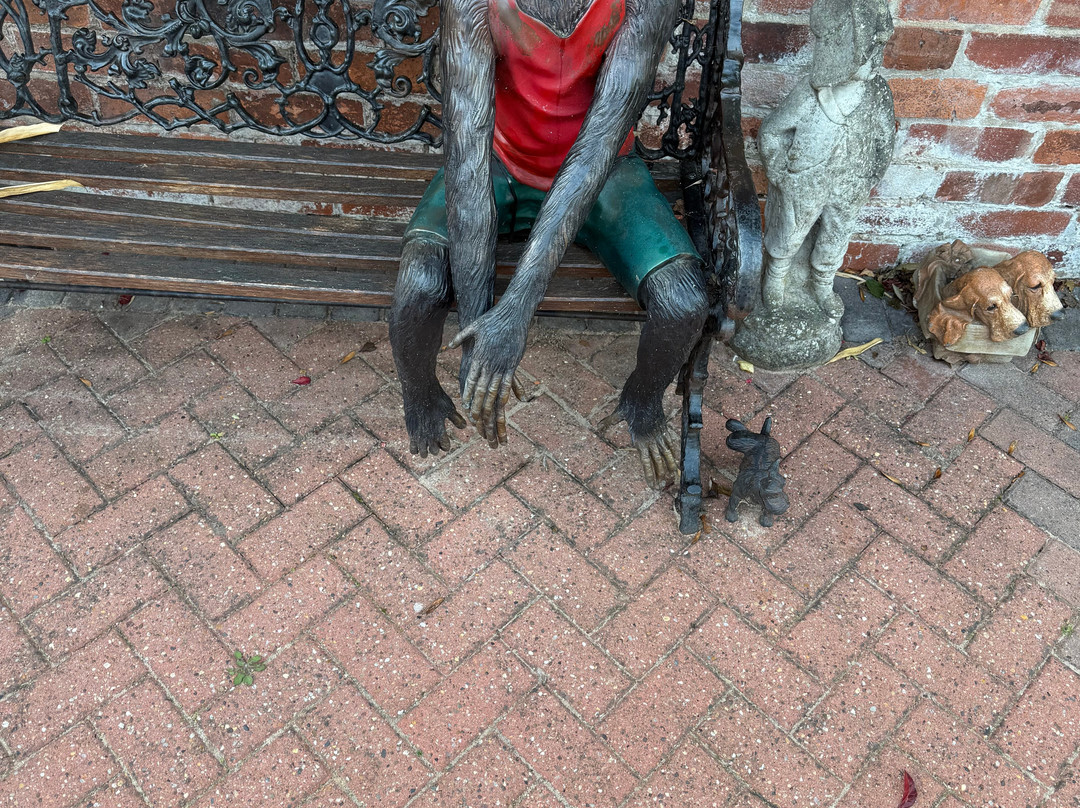 Creston Villa Guest House主图