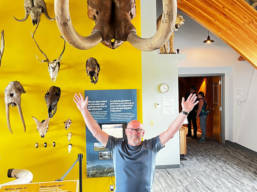 Yukon Beringia Interpretive Centre-白马市必去景点