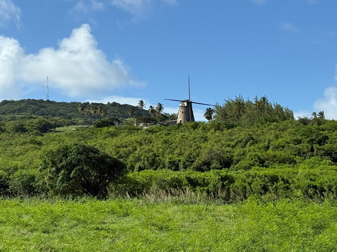 MHKK Tours & Taxi Service-Rockley必去景点