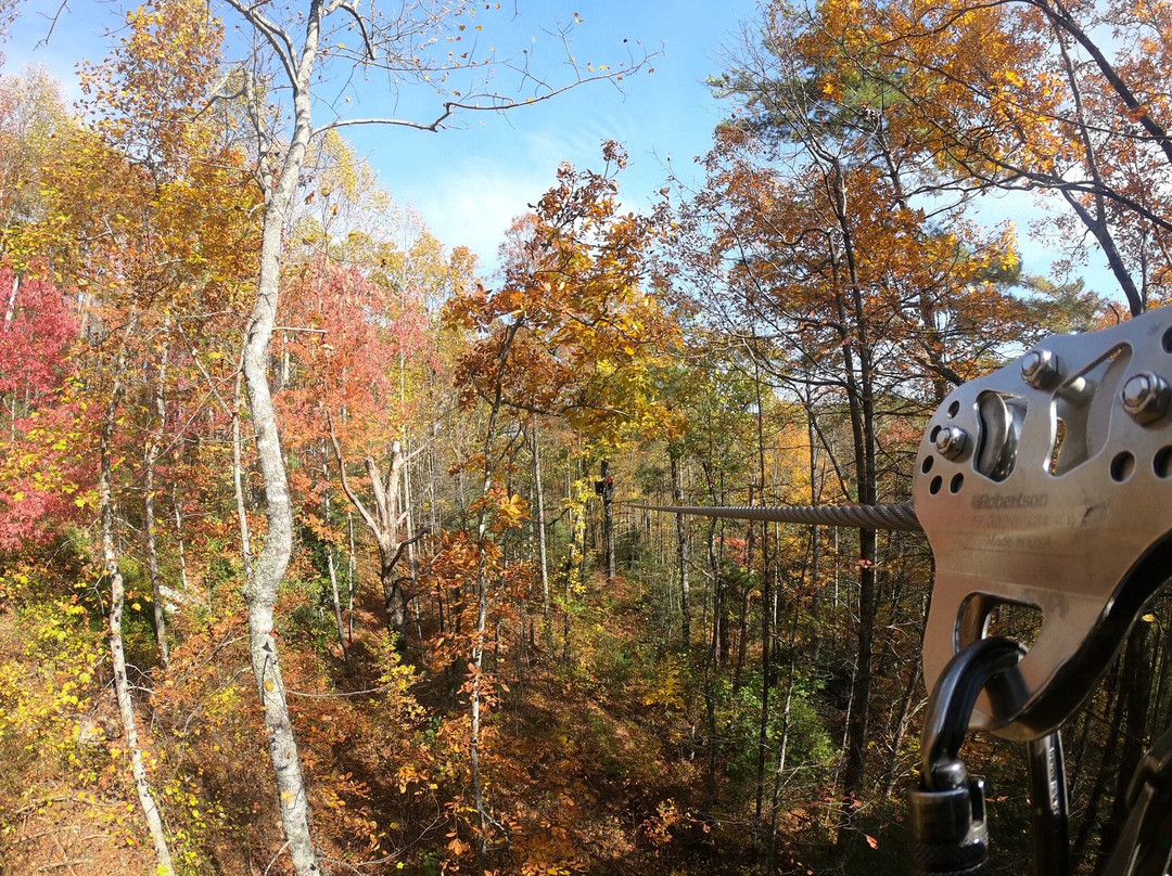 Highlands Aerial Park-Scaly Mountain必去景点