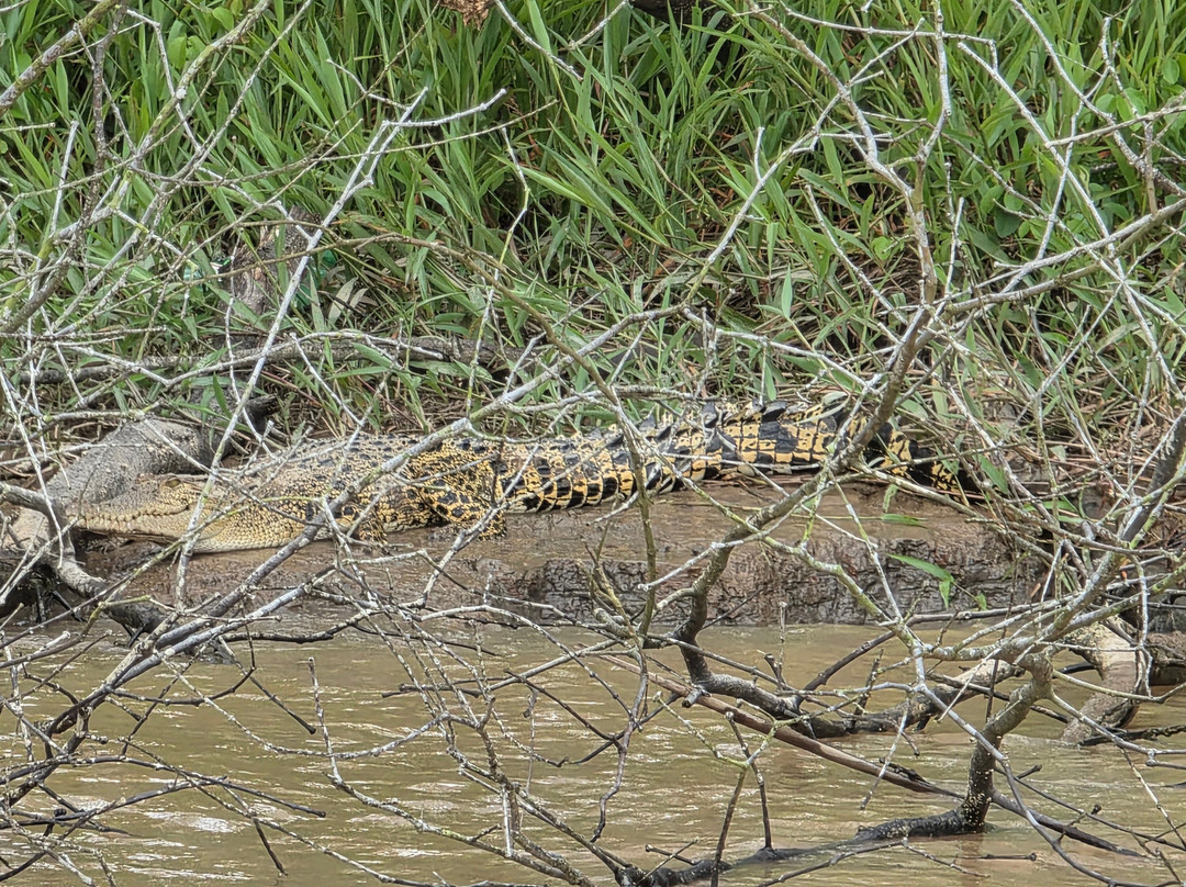 Borneo Eco Tours-亚庇必去景点