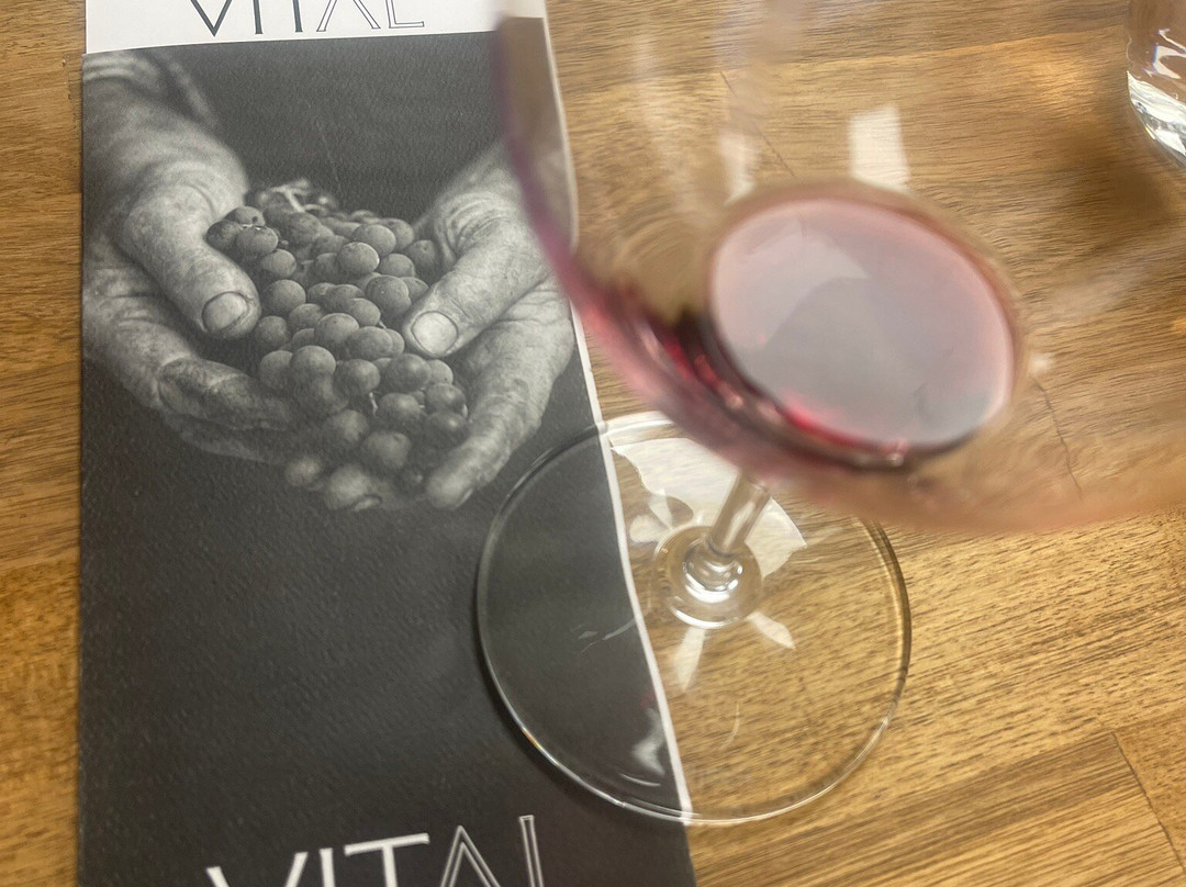 Vital Wines-瓦拉瓦拉必去景点