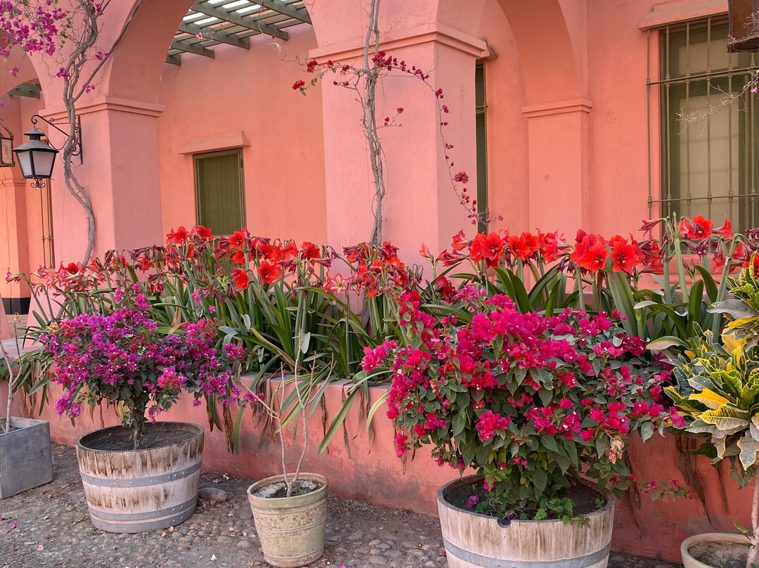 Tacama-伊卡必去景点