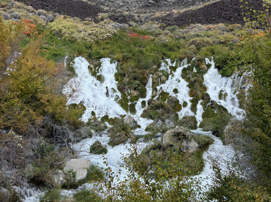 Niagara Springs Fish Hatchery-Wendell必去景点