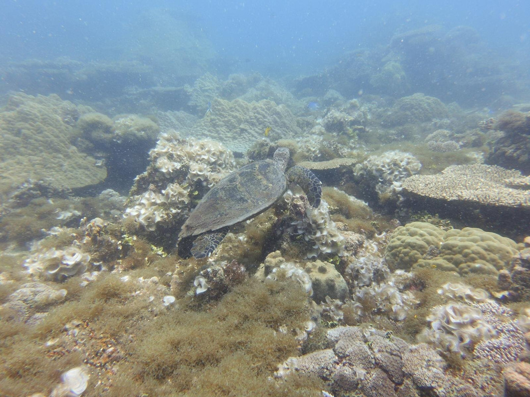 Maison Ylang Dive Center