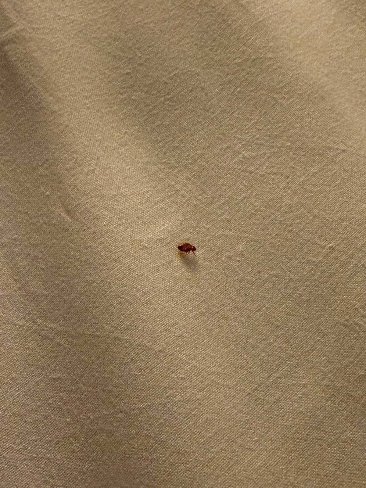 萨尔兹堡公园酒店-官方