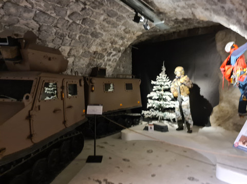 Musée des Troupes de Montagne-格勒诺布尔必去景点