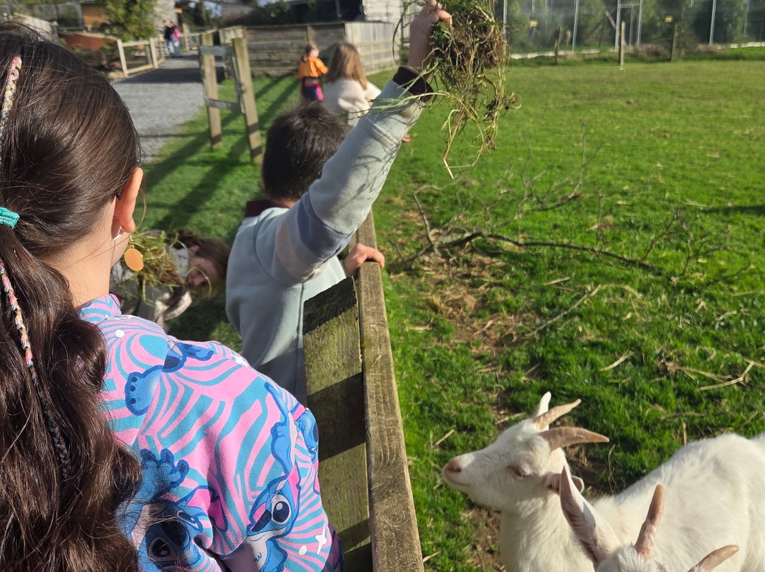 Secret Valley Wildlife Park-韦克斯福德必去景点