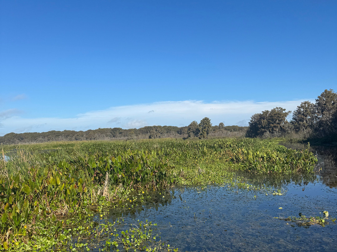 Swamp Fever Airboat Adventures-Lake Panasoffkee必去景点