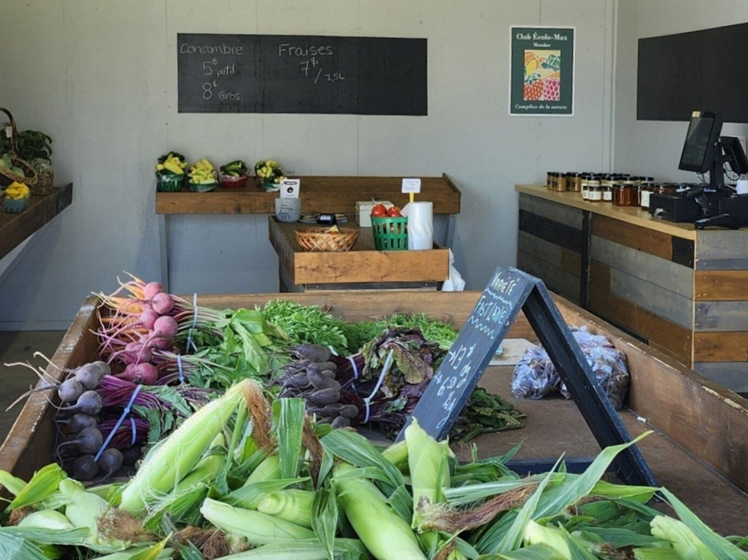 Serres A. Giguère 90-Neuville必去景点