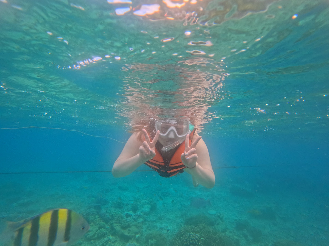 CSP Travel & Tours-宿雾市必去景点