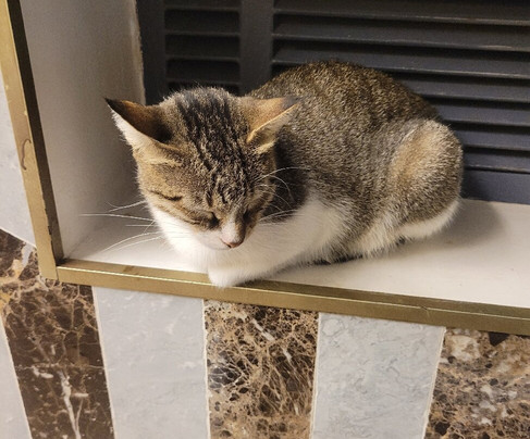 Hôtel Saint Eugène