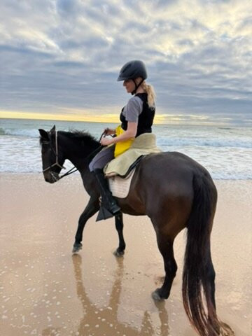 Hipica Mangueta-贝赫尔－德拉弗龙特拉必去景点