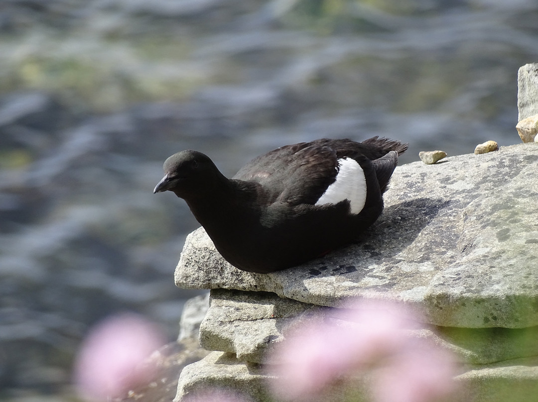 Guide Trek Alps - Viaggi nel Mondo-Saint-Vincent必去景点