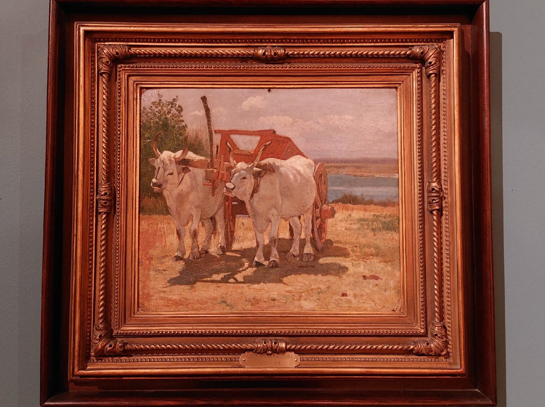 Museo Civico Giovanni Fattori-里窝那必去景点