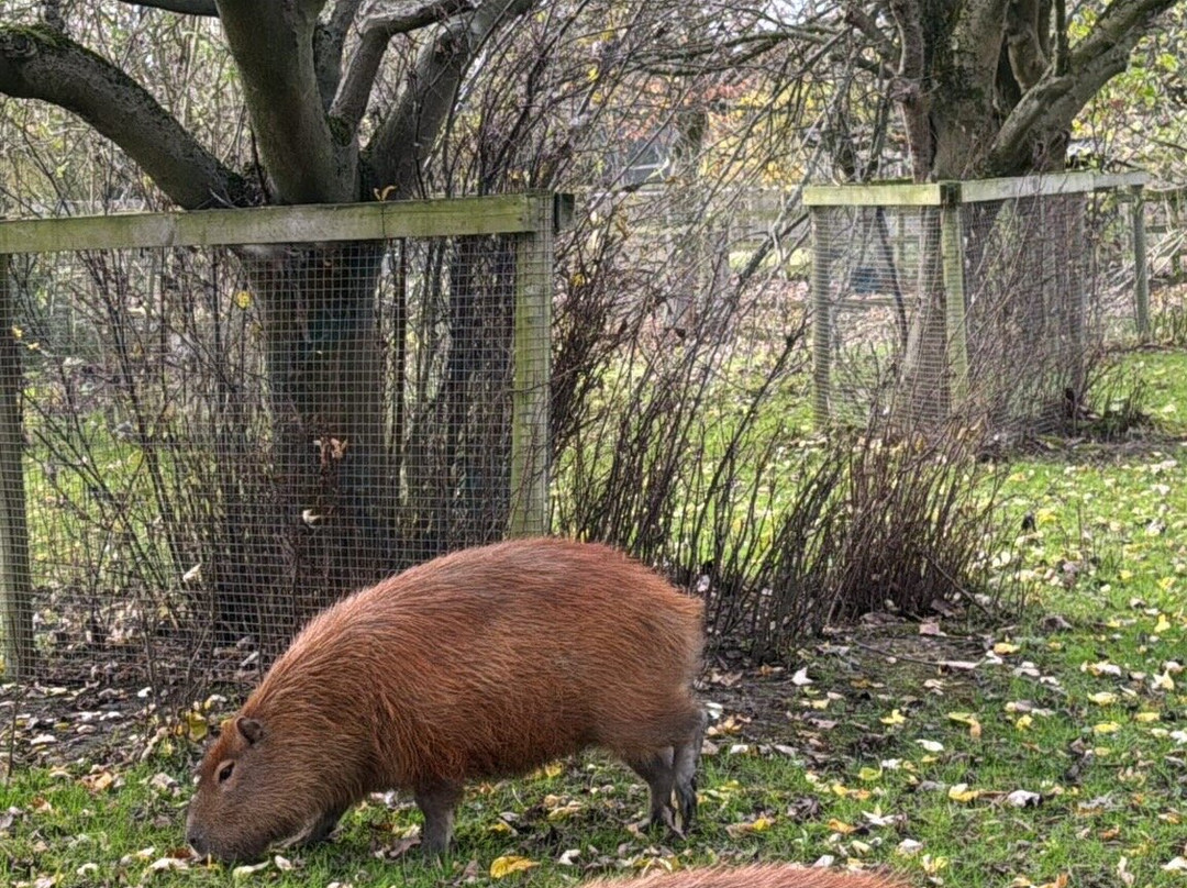 All Things Wild-Honeybourne必去景点