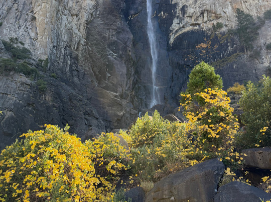 约塞米蒂发现之旅-奥克赫斯特必去景点