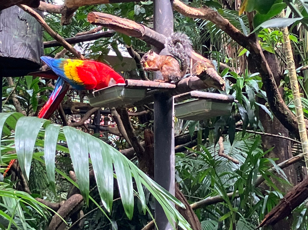 Rescate Wildlife Rescue Center-阿拉辉拉必去景点