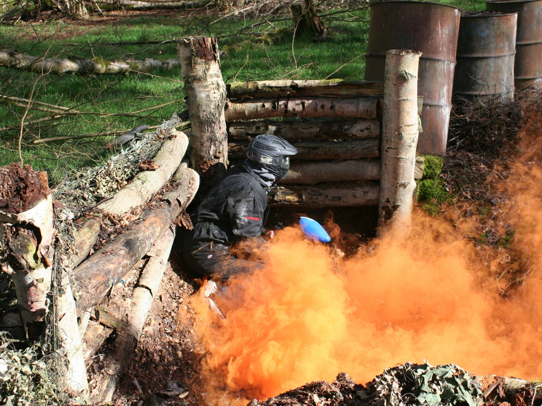 Bedlam Paintball Newton Abbot-Teigngrace必去景点