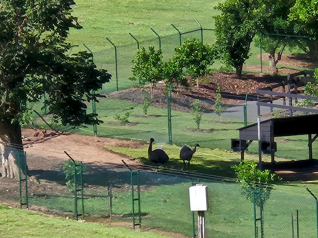 The Big Pineapple-Nambour必去景点