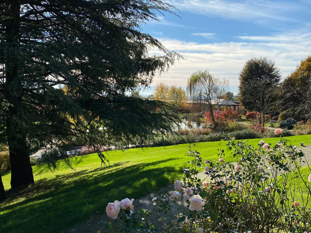 皮亚霍学院特努塔酒店主图