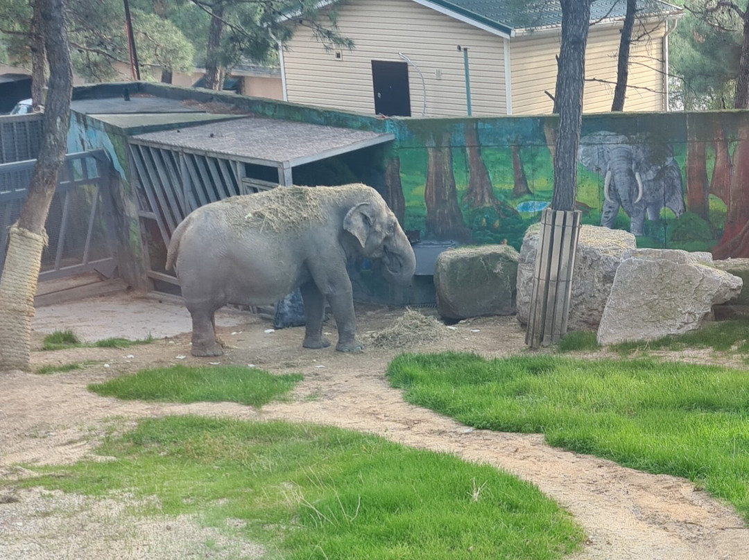 Safari Park-Gelendzhik必去景点