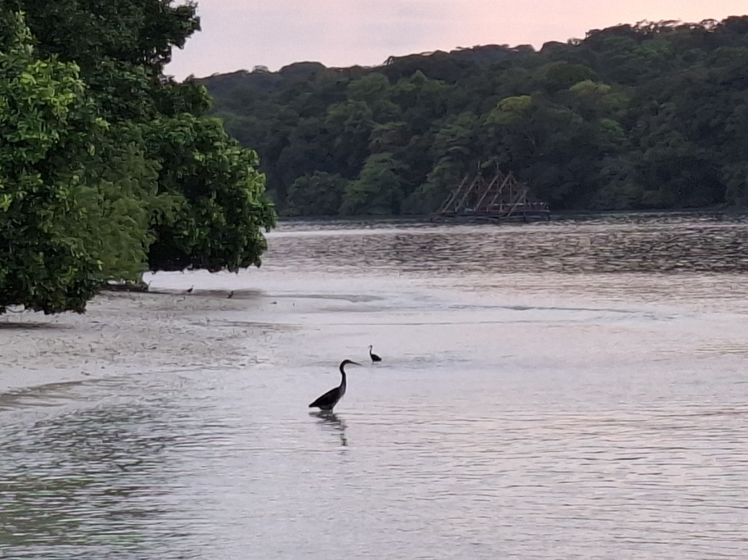 Ujung Kulon Ecotourism-Ujungjaya必去景点