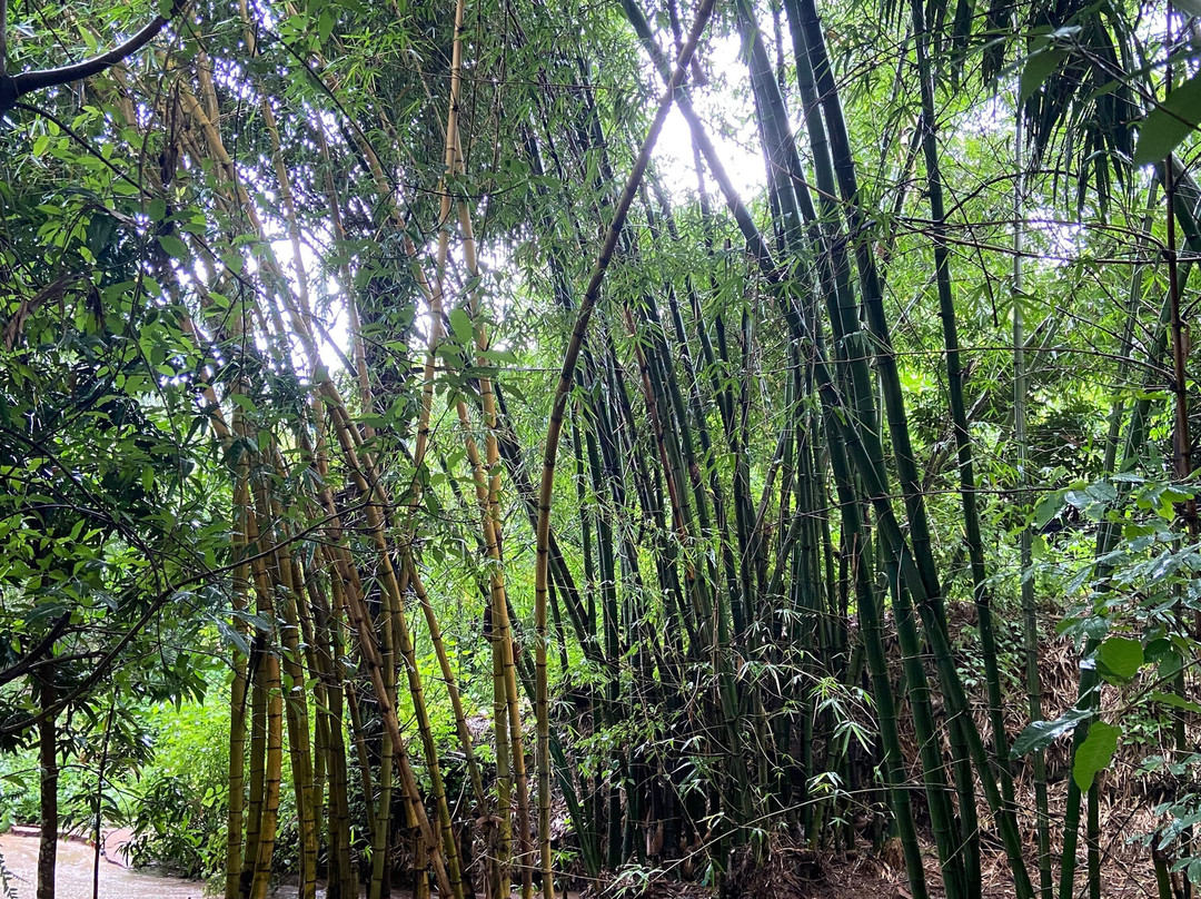 Sunstone Beach-Rumonge必去景点