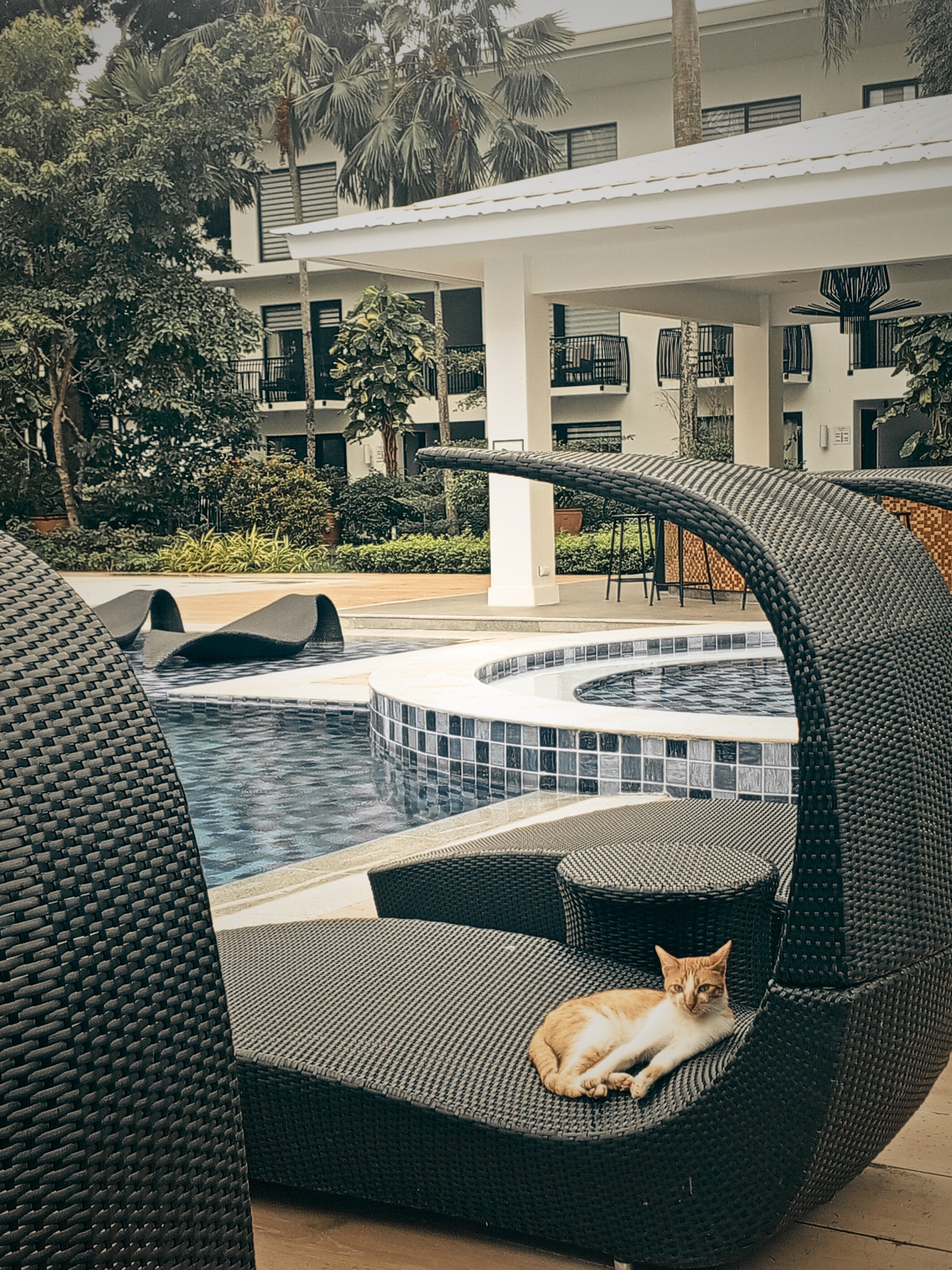 庞特菲诺酒店-官方