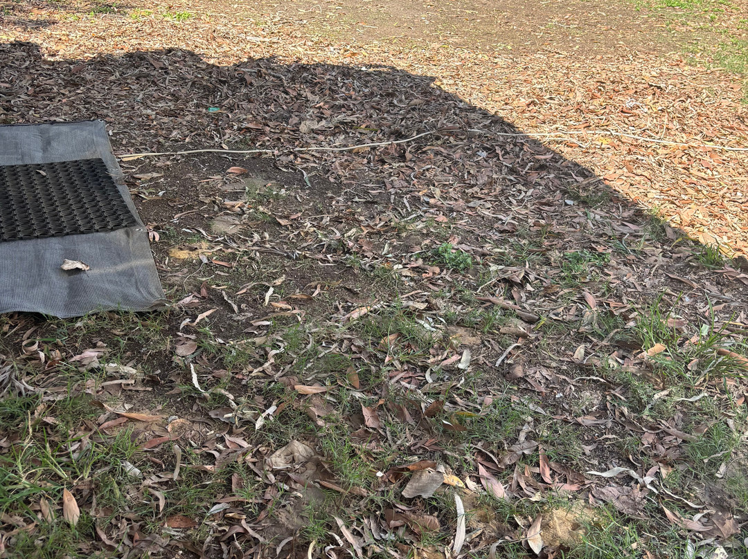 Bargara Beach Caravan Park-Bargara必去景点