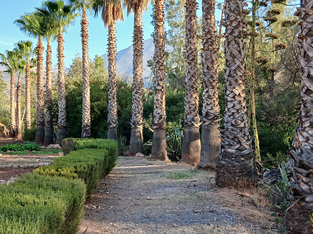 Domaine Malika主图