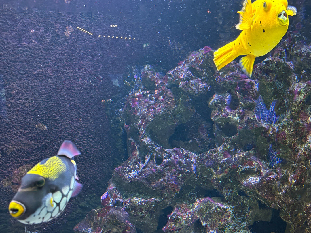 Aquazoo Loebbecke Museum-杜塞尔多夫必去景点