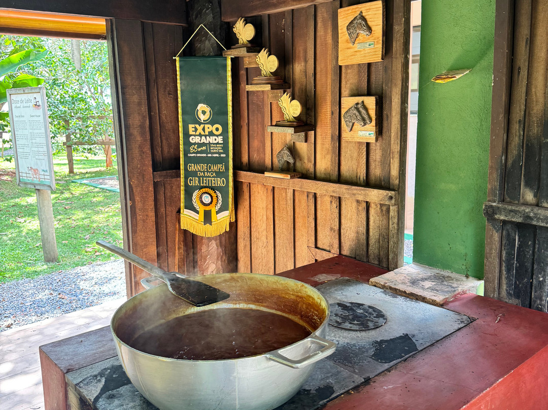 Rio da Prata-南马托格罗索州必去景点