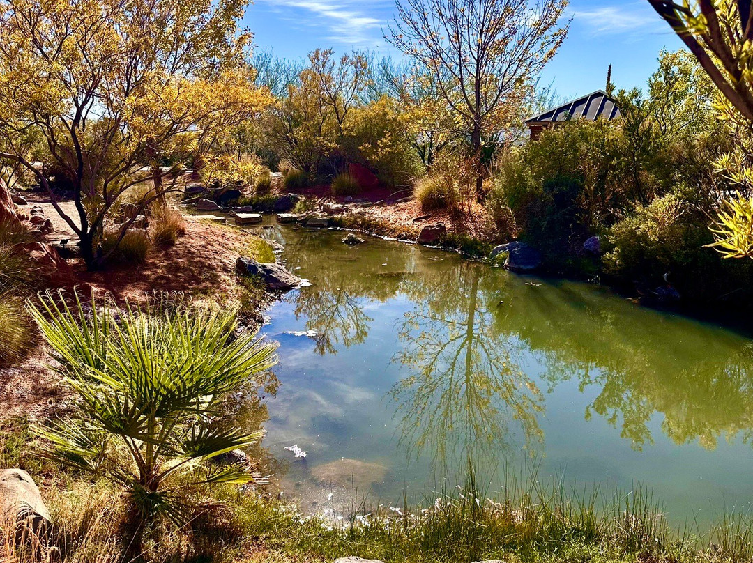 Red Hills Desert Garden-圣乔治必去景点