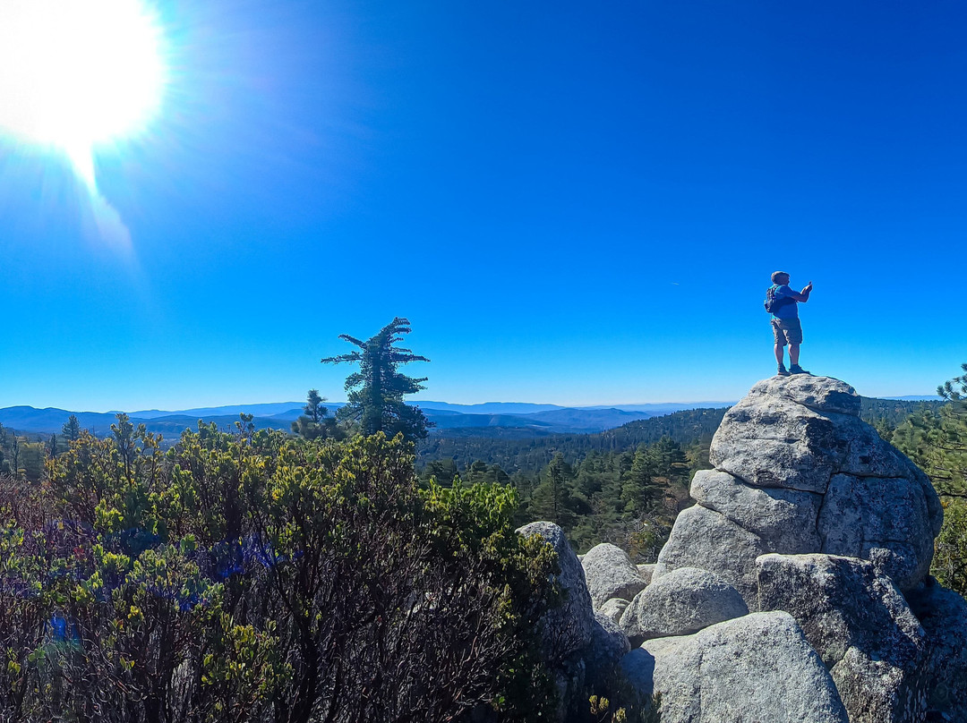 Deer Springs Trailhead-Idyllwild必去景点