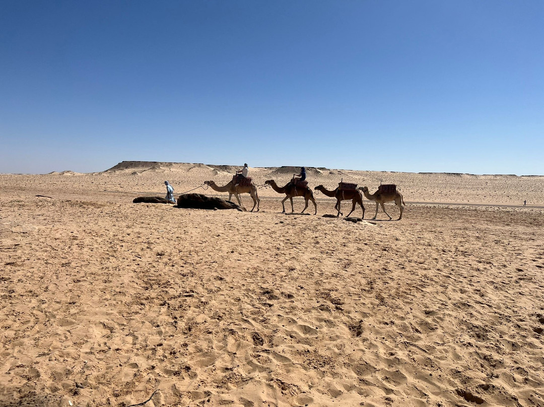 Ranch Des Dunes-达赫拉必去景点