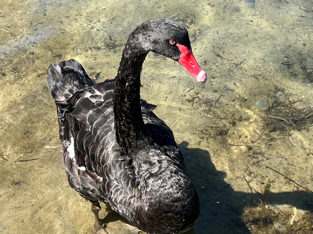 Edgewater Terraces at Metung主图