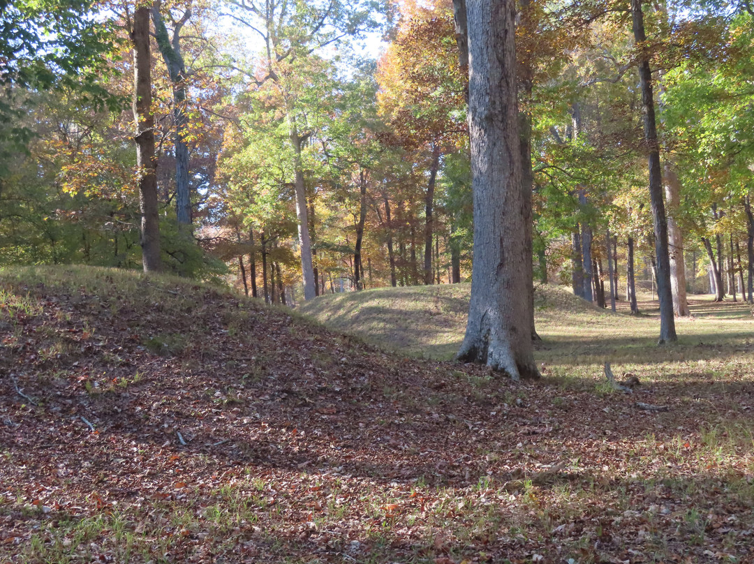Shiloh Indian Mounds National Historic Landmark-Shiloh必去景点