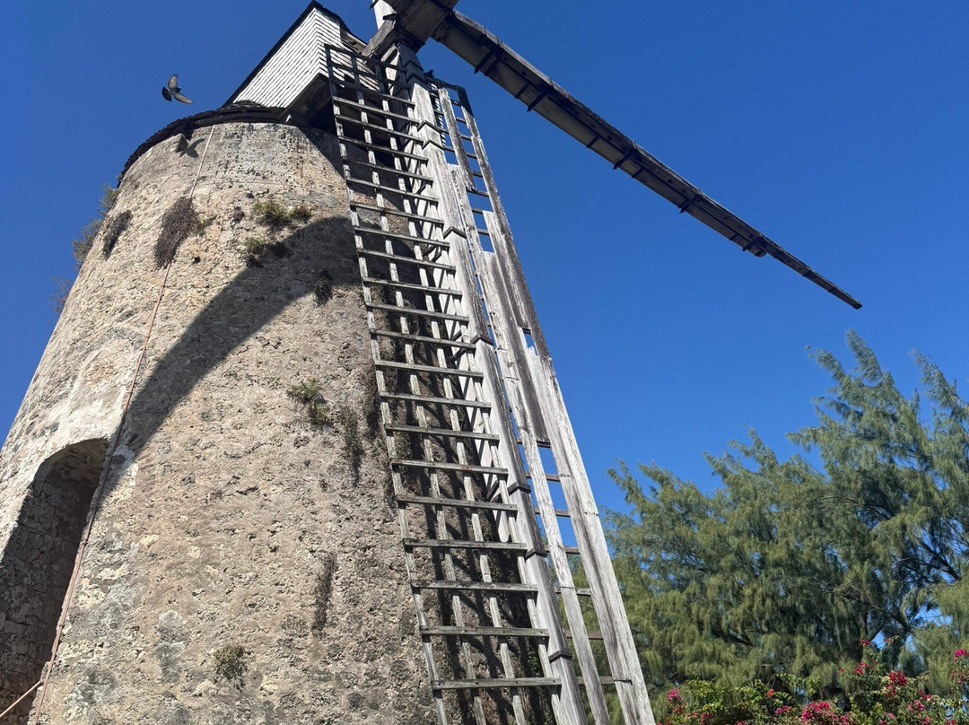 Morgan Lewis Sugar Mill-Morgan Lewis必去景点