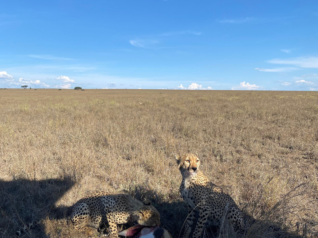 Zara Tanzania Adventures-莫西必去景点