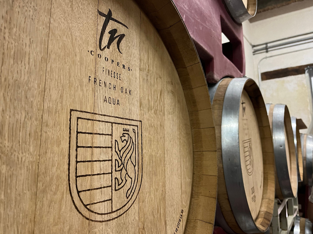 Bodega RGMX-Parras de la Fuente必去景点