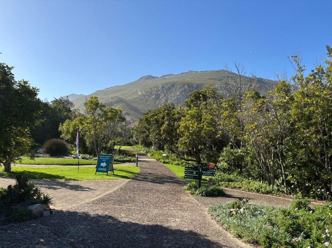 Kleinmond Beach-小月必去景点