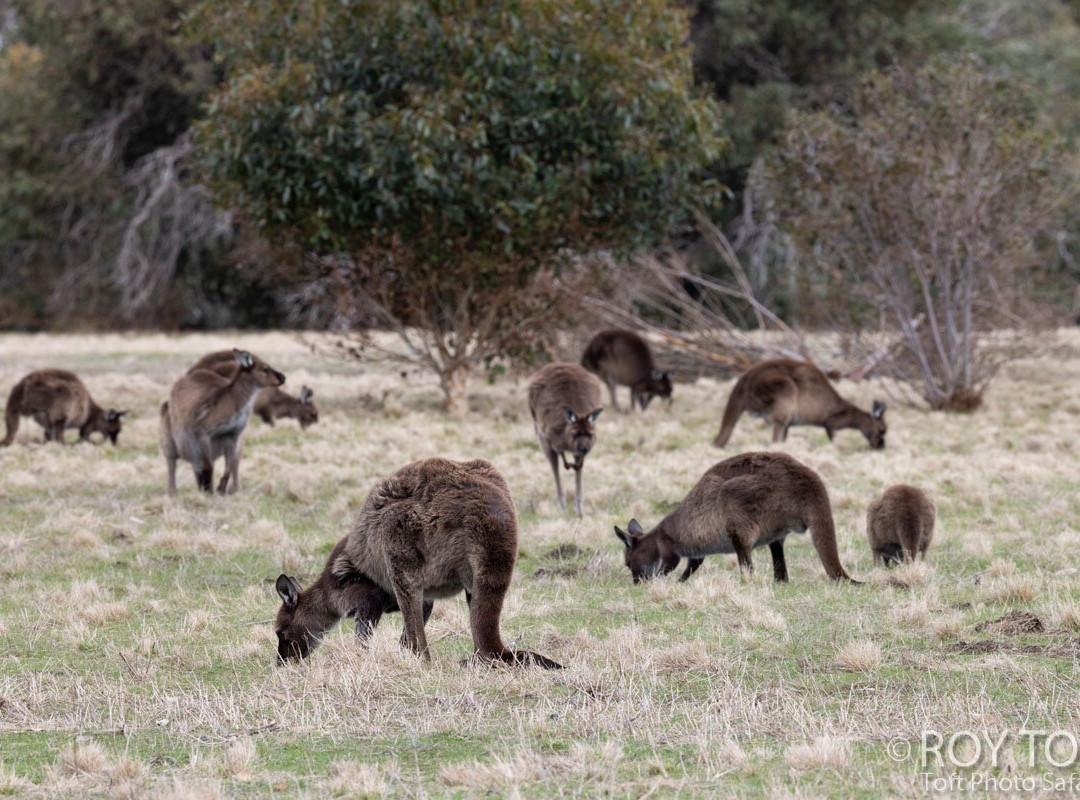 Unearth Adventure-拉布拉多必去景点
